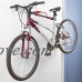 Rage Powersports 2-Bicycle Hanger Wall Mount Folding Racks - B013V4I5UI